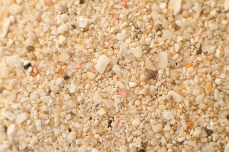 Aruba, Rodgers Beach